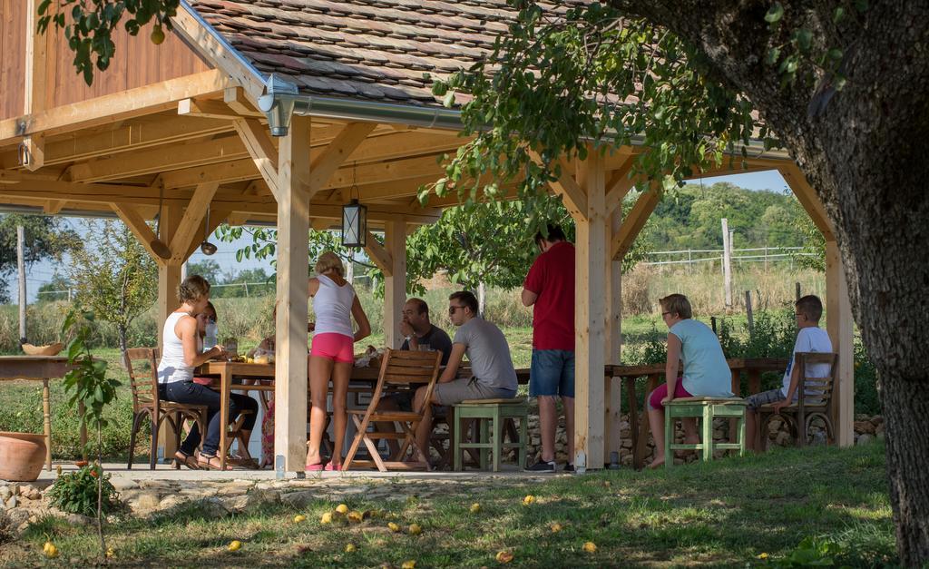 Édenkert Vendégházak Pécsvárad Extérieur photo