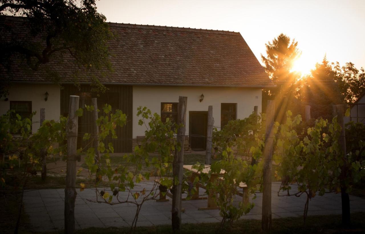 Édenkert Vendégházak Pécsvárad Extérieur photo